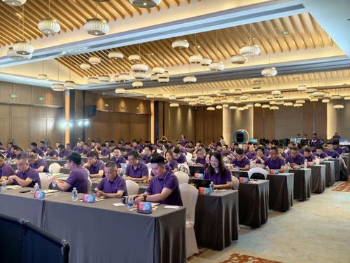 巳海昇屏,e立潮頭 2025年aoc顯示器全國(guó)操盤(pán)手大會(huì)隆重召開(kāi)